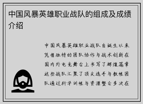 中国风暴英雄职业战队的组成及成绩介绍